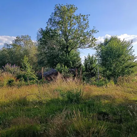 Au Pied Du Trieu, The Shelter * Labroye