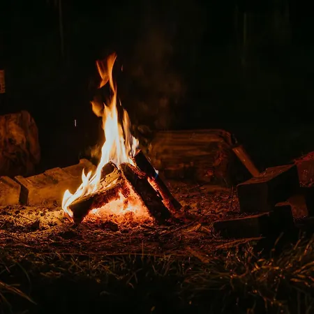 Au Pied Du Trieu, The Shelter *