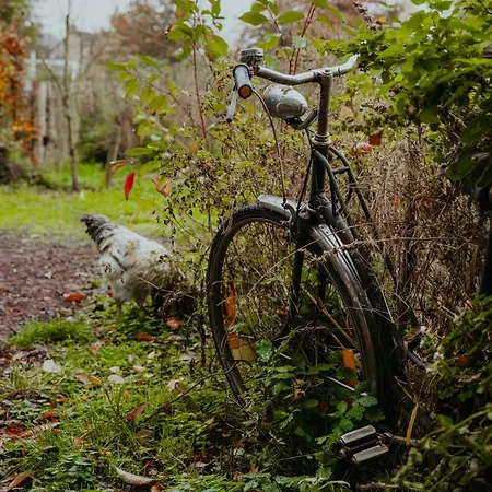 Campingplatz Au Pied Du Trieu, The Shelter Labroye